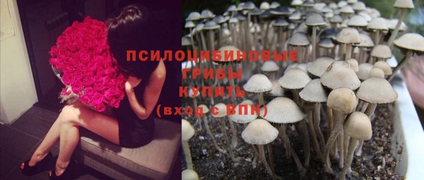 эйфоретик Белоозёрский