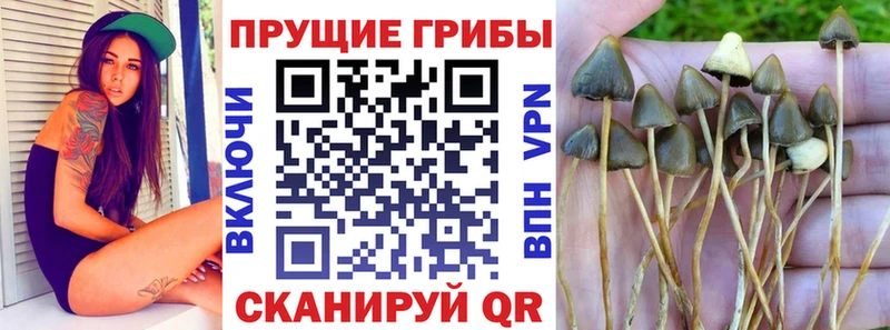 Галлюциногенные грибы GOLDEN TEACHER  Надым 