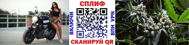 Бошки марихуана ГИДРОПОН  Надым 
